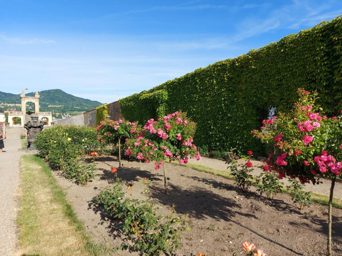 Apartments Rose Garden Дечин Екстериор снимка