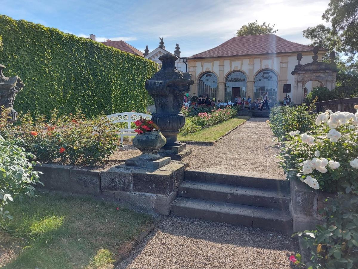 Apartments Rose Garden Дечин Екстериор снимка